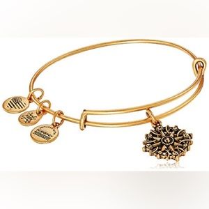 Alex and Ani Gold Compass bracelet
